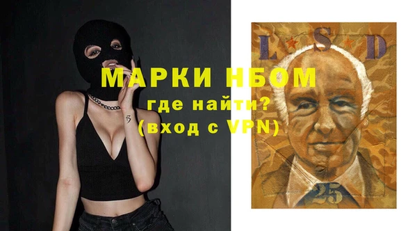 стафф Тайга