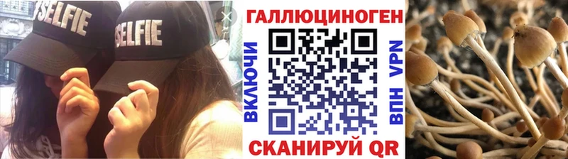 Псилоцибиновые грибы мицелий  Можайск 