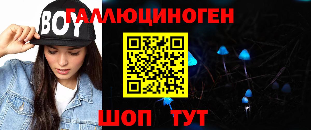 Галлюциногенные грибы Psilocybe  Вход с VPN  Можайск 