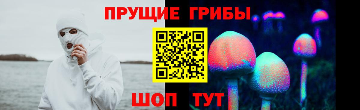 Галлюциногенные грибы Psilocybe Можайск